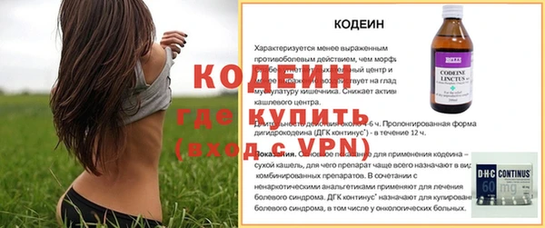 дмт Арсеньев