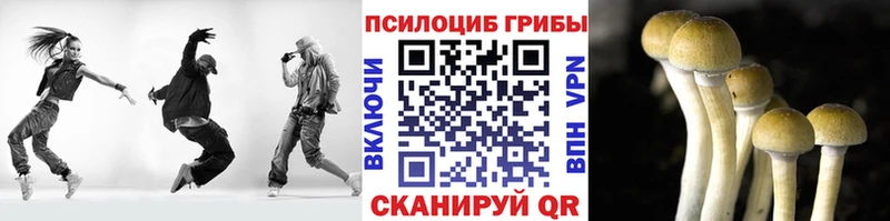 даркнет сайт  блэк спрут зеркало  маркетплейс Telegram  Оха  Галлюциногенные грибы прущие грибы 